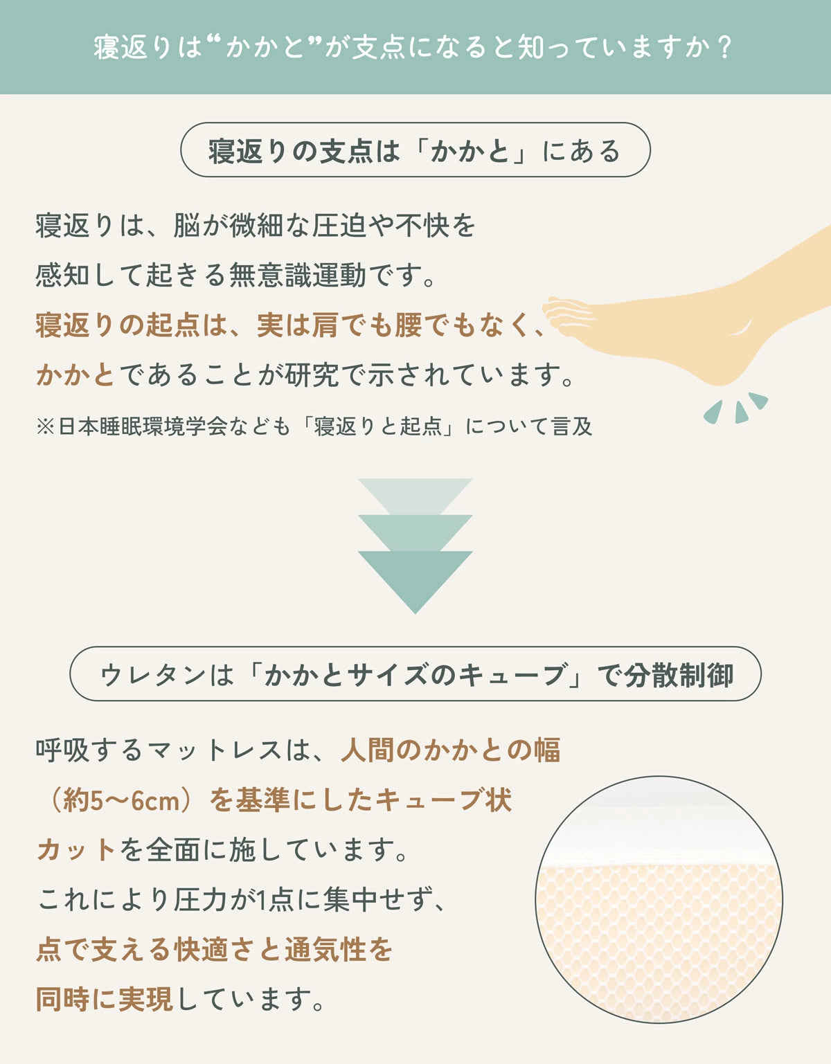 呼吸するマットレス /眠るたび美しく、極上の体圧分散【EsmeraldA 】