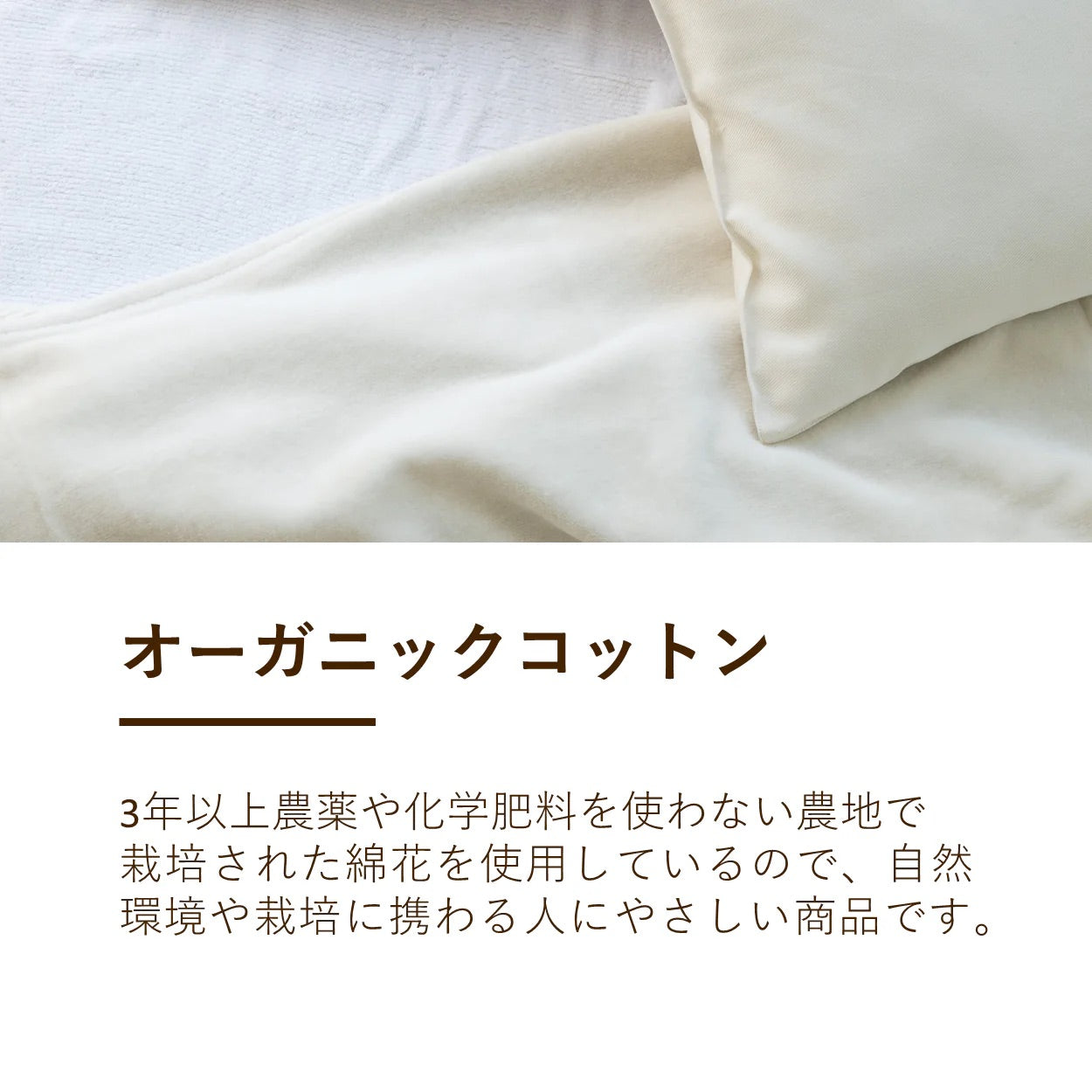 綿毛布 コットンケット シングル【ロマンス小杉】