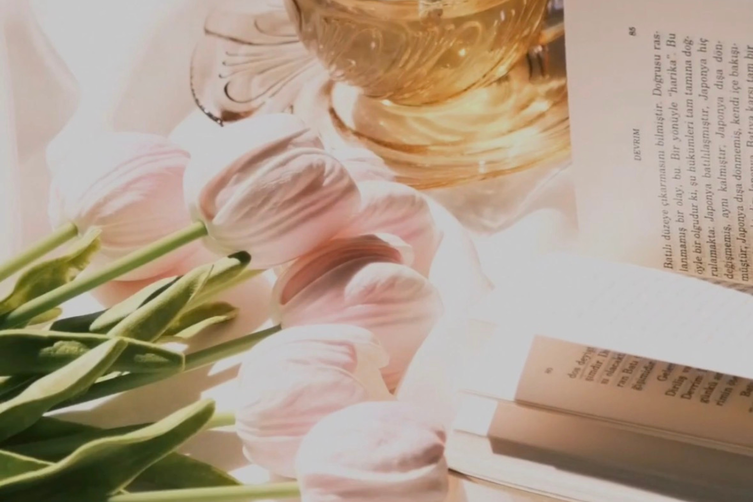 睡眠美容研究所