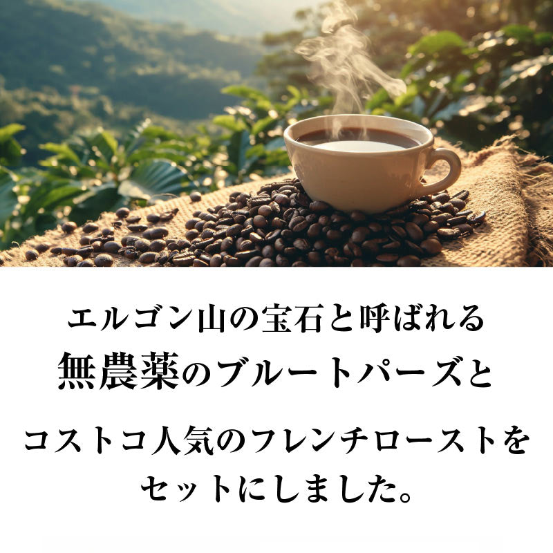 おかわりしたくなるコーヒー 火山ミネラル アロマ 無農薬 高級アラビカ種 コーヒー豆 2.13kg エルゴン山の宝石 ブルートパーズ コストコ フレンチロースト 2種セット