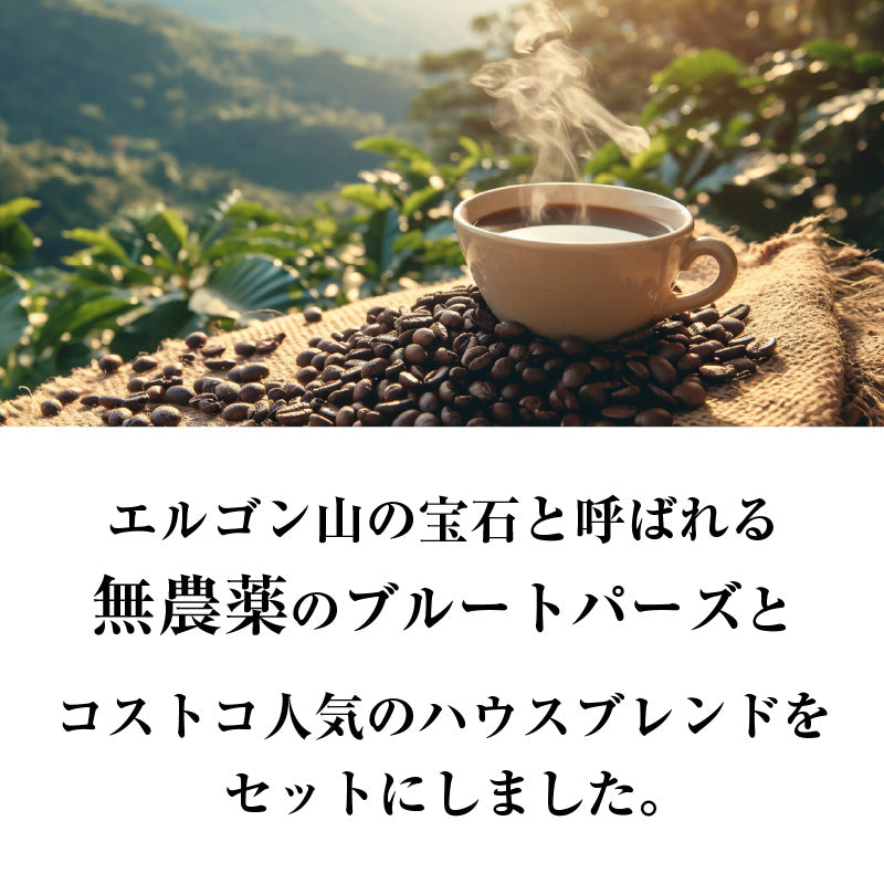おかわりしたくなるコーヒー 火山ミネラル アロマ 無農薬 高級アラビカ種 コーヒー豆 2.13kg エルゴン山の宝石 ブルートパーズ コストコ ハウスブレンド 2種セット