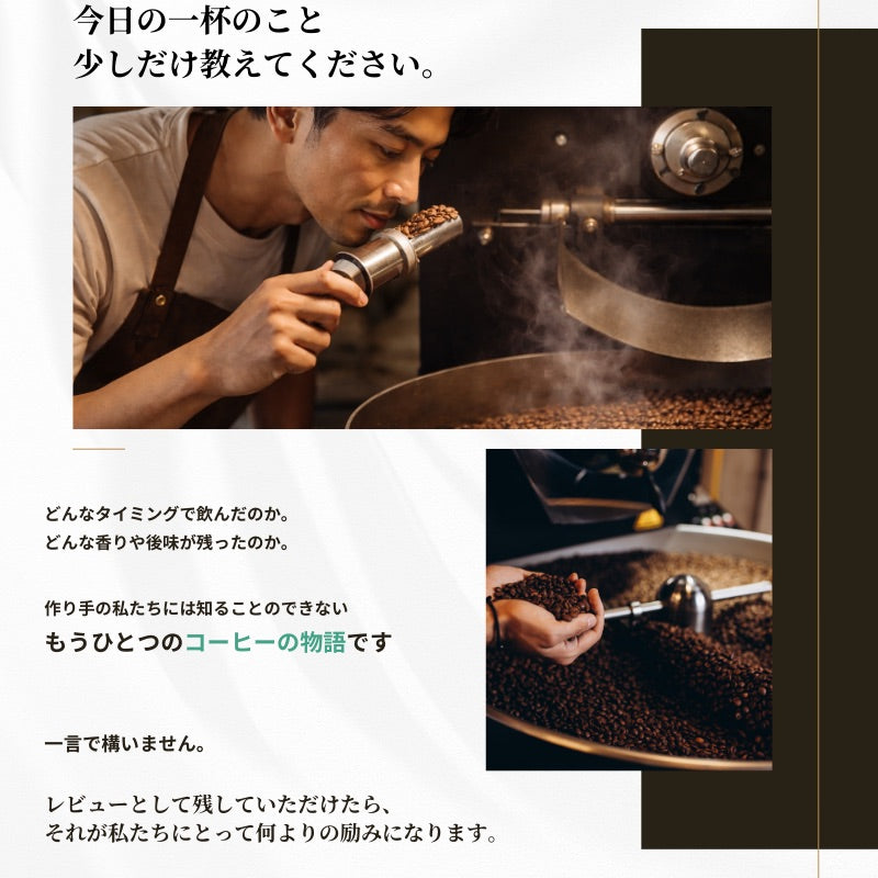 【おかわりしたくなるコーヒー】ブルートパーズ ハウスブレンド コーヒー豆500g|無農薬 自然栽培|高級アラビカ種 ティピカAA