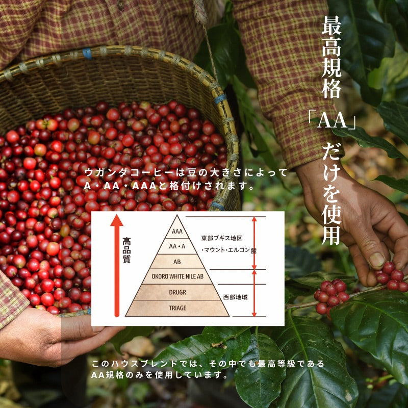 【おかわりしたくなるコーヒー】ブルートパーズ ハウスブレンド コーヒー豆500g|無農薬 自然栽培|高級アラビカ種 ティピカAA