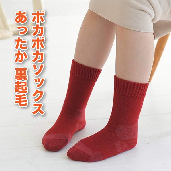 【健康爽快】 あったか 靴下 裏起毛 ルームソックス 防寒 厚手 保温 温活 吸湿発熱繊維 eks おしゃれ 国産 安心 日本製 オフィスでも活躍 冷え取り フィット ムレない 断熱 保温 リラックス ポカポカ 冷気ブロック 着脱しやすい くつした 鷲尾 ワシオ もちはだ