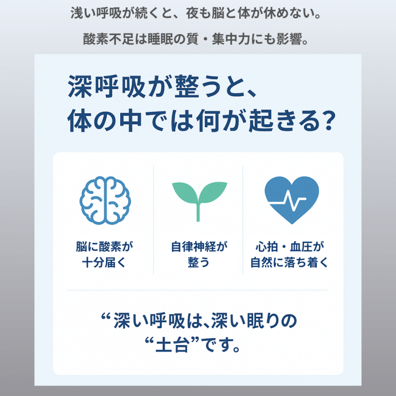 【エスメラルダ】大人用まくら｜深い呼吸で深く眠れる【スーストン枕】睡眠中の気道を確保する構造｜14日間返金保証付