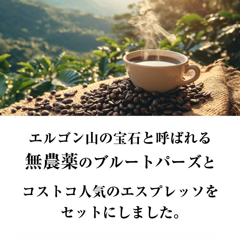 おかわりしたくなるコーヒー 火山ミネラル アロマ 無農薬 高級アラビカ種 コーヒー豆 2.13kg エルゴン山の宝石 ブルートパーズ コストコ エスプレッソブレンド 2種セット