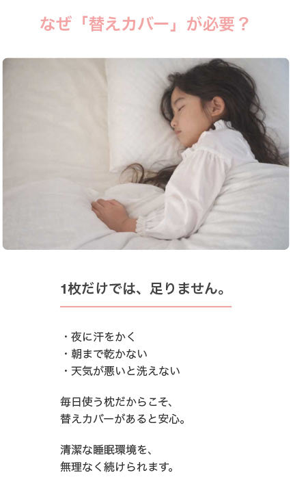 【公式】エスメラルダ 呼吸する小学生の枕専用枕カバー まくらカバー 枕カバー 呼吸する枕シリーズ専用まくらカバー メール便送料無料 替えカバー ピローケース 洗い替え やさしい肌ざわり