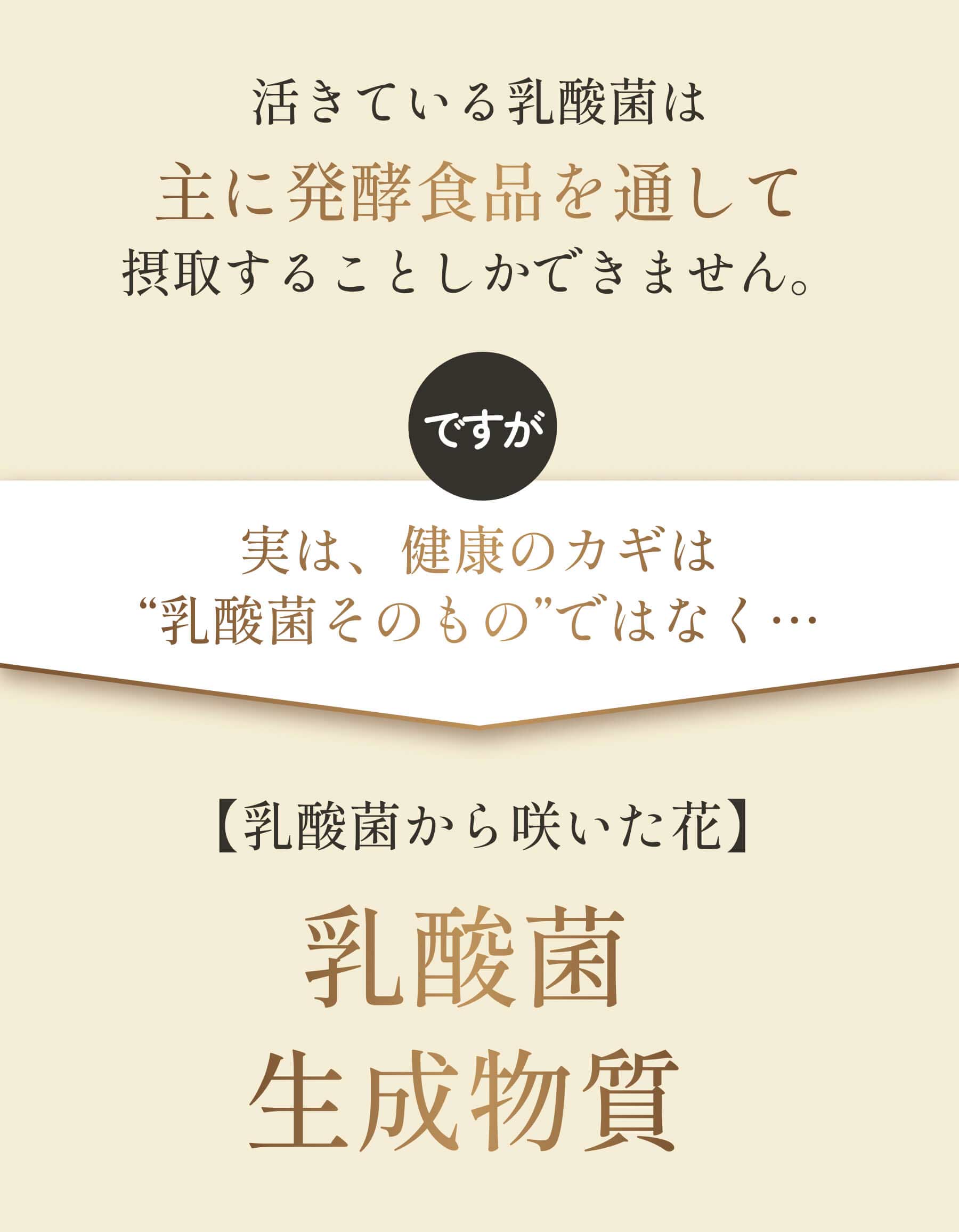 乳酸菌エキス のぞみ（希望） 予約 乳酸菌 乳酸菌生成物質 生成エキス 腸活 乳酸菌 酪酸菌 ビフィズス菌 麹菌 納豆菌 30ml×2本