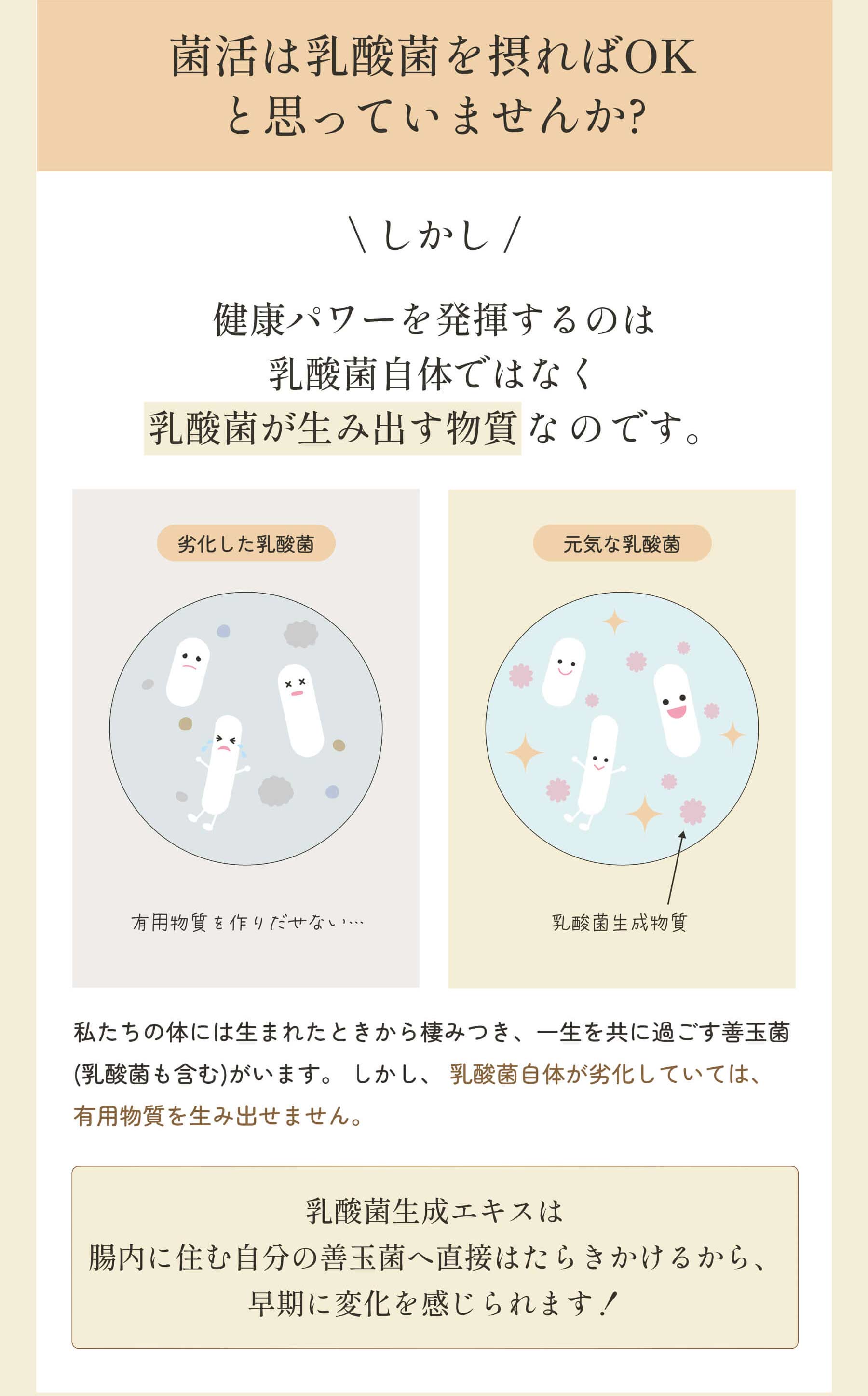 乳酸菌エキス のぞみ（希望） 予約 乳酸菌 乳酸菌生成物質 生成エキス 腸活 乳酸菌 酪酸菌 ビフィズス菌 麹菌 納豆菌 30ml×2本