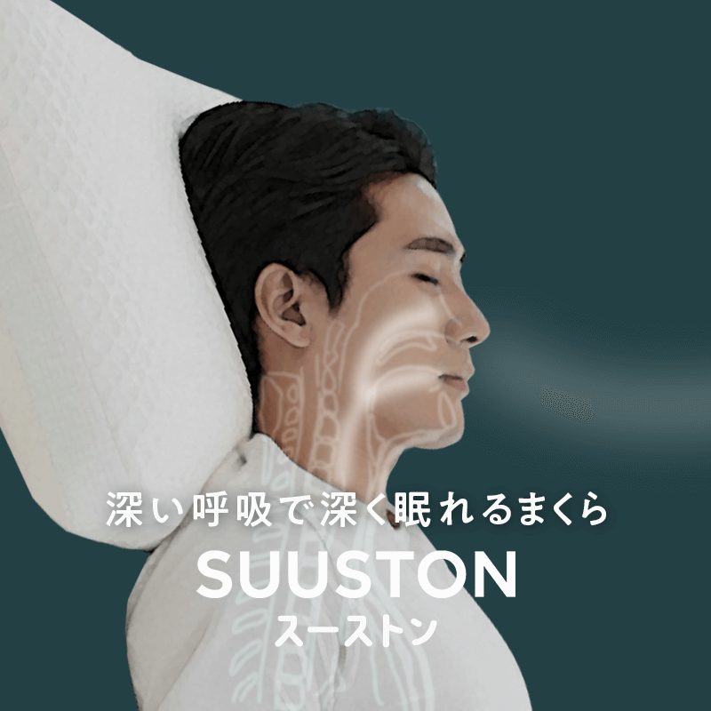 【エスメラルダ】 大人用枕 大人枕